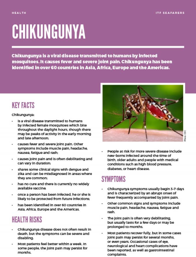 Chikungunya is store caused by